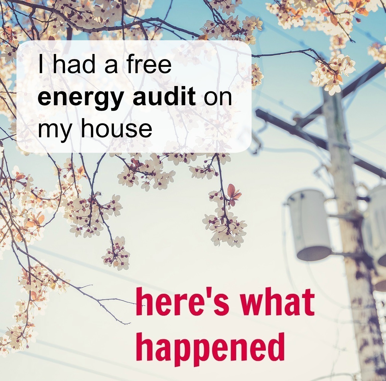 We have a free energy audit on our house. Here's what happened. 