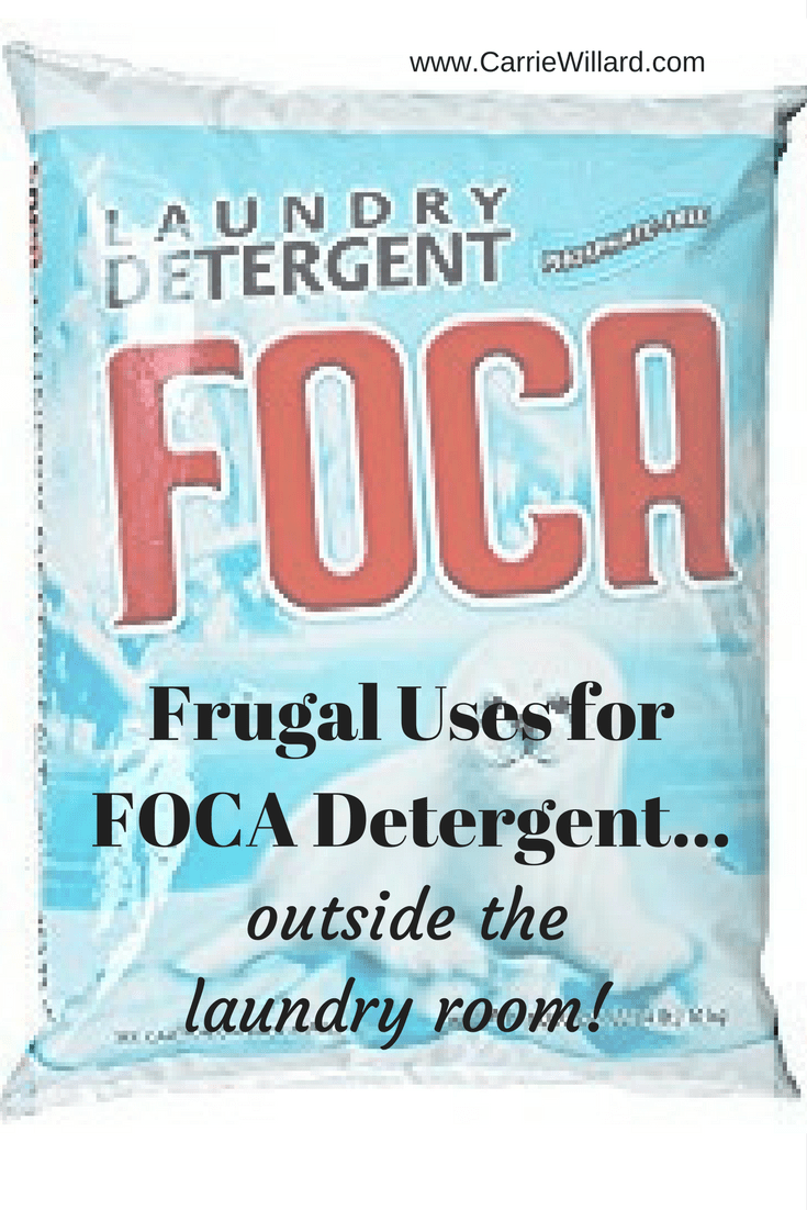 Foca Laundry Detergent 5 Frugal Uses Outside The Washing Machine Carrie Willard,2 Player Two Player Card Games