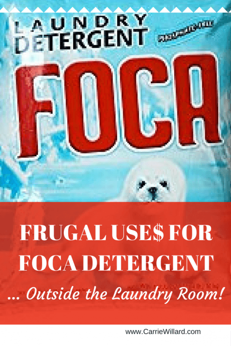 Foca Laundry Detergent 5 Frugal Uses Outside The Washing Machine Carrie Willard,Virginia Sweetspire Itea Virginica