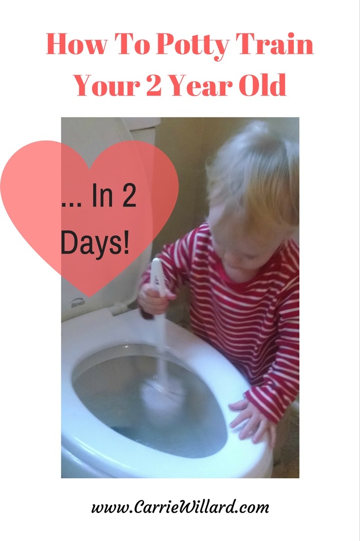How To Potty Train Your 2 Year Old