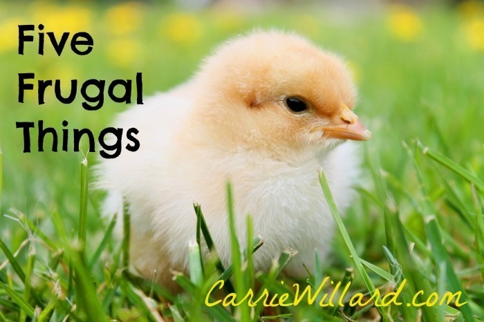 five frugal things