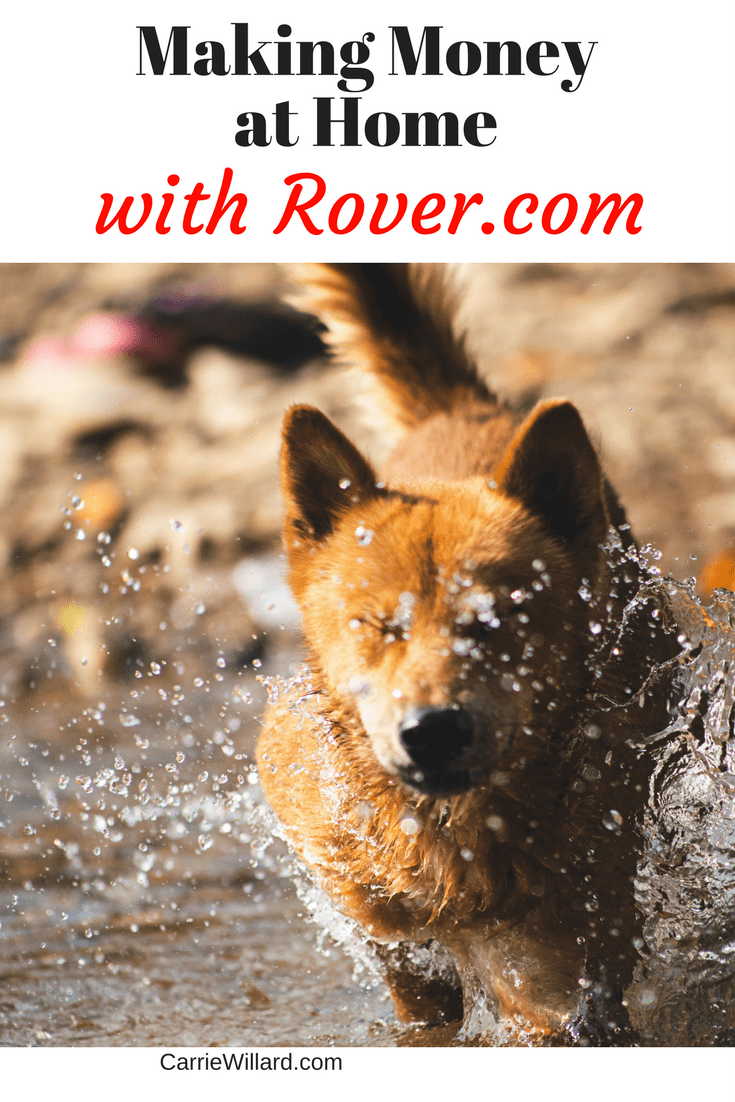 Making Money with Rover.com